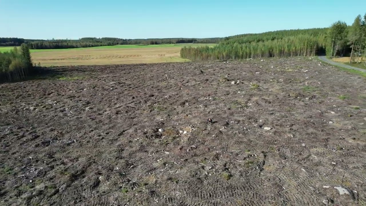 Spodumene-bearing pegmatite boulder field in central Finland